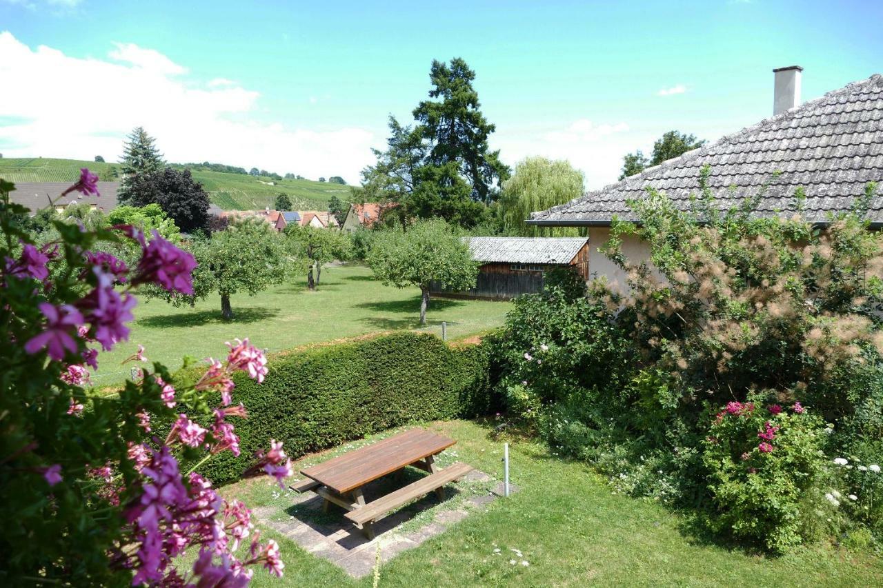 Gite L'Agape Riquewihr Exterior foto